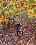 L-Klima_Empty_Chair