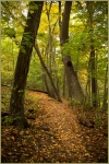 WarrenDarress-Autumn- Inviting Path