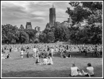 MRusso_sheep_meadow