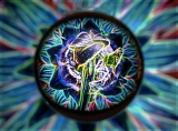 c5_C32-SandyReynolds-C1-Neon Flower