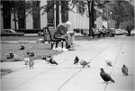 WDarress-Retro-Wash-DC-Old-Man-in-Park-withpigeons-1970