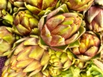 JoanDeRosa_Artichokes