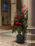 JoanDeRosa_Christmas-At-the-National-Cathedral-