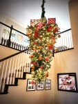 WarrenDarress-Spruce-Decorated-Tree-Hanging-Around-Till-Christmas