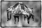 kd_C32-DianaMotschenbacher-KD-Melting-Mushroom