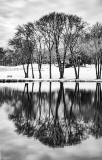 k3_C32-olkowski-K1-Winter-Reflections.jpg