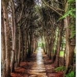 a_C32-MarleneW-A1-Haunted-Walk-Westbury-Gardens