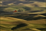 Carol_Goldstein_Palouse-and-Red-Barn_Print_Color