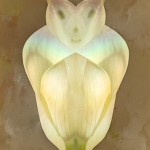 d_C32-jderosa-CA-Genie-in-a-Bottle