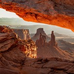 Print_Color_DiBenedetto