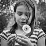 C32-LauraStar-K1-Dandelion-Wishes