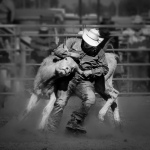 C32-DiBenedetto-KA-Taking-the-Bull-by-the-Horns