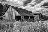 f_Ol-Barns-in-BW