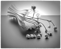 C32-MarleneW-K1-Cornucopia