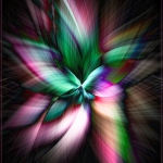 C32-jderosa-C1-Magnolia-Twirl