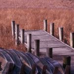 PrintB_Color_NelsonJames_No-Water