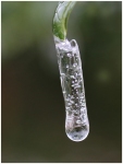 Weinstein-Frozen-Macro