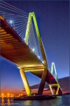 Goldstein_Carol3-Under-the-Cooper-City-Bridge