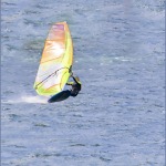 Barbara-Kite-jpg