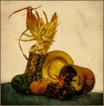 Barbara-1-Still-Life-