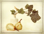 Marlene-Weinstein_Still-Life-with-Pears-2