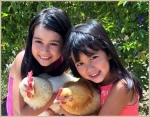 LilySummer2_Chicks With Chicks