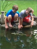 H and R Checking on the Koi