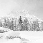Frank_D-High-Key-3