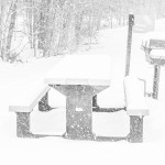 Frank_D-High-Key-6