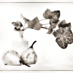 MWeinstein-Highkey3-Still-Life-with-Pears