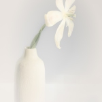 Still-Life-in-High-Key