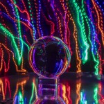 IMG_0014