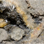Phil-1