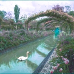 A-Dutch-Fantasy
