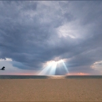 After-the-Storm-2