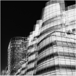 MarleneW_MIYO_Double-Vision