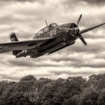 DonnaCusack-Summer-BayportAerodrome