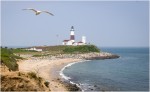 WDarress-Summer-A-Gullant-Montauk-Lighthouse