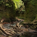 BonnieBredes-Devil_s_Pulpit-6597