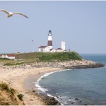 WDarress-Summer-A-Gullant-Montauk-Lighthouse