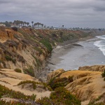 Frank_Summer-2026-1