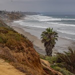 Frank_Summer-2026-2