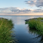 Frank_Summer-2026-8