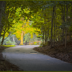 Summer-Photos-jderosa-Down-The-Lane